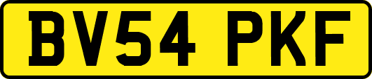 BV54PKF