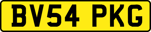 BV54PKG