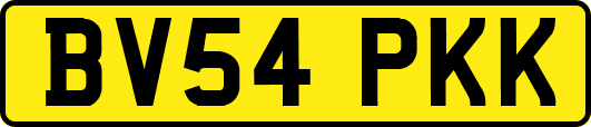 BV54PKK