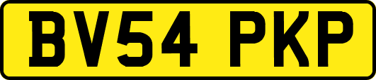 BV54PKP
