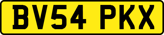 BV54PKX
