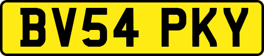 BV54PKY