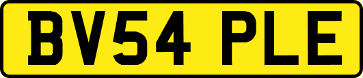 BV54PLE