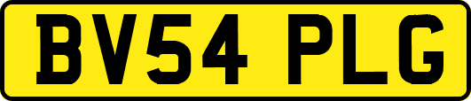 BV54PLG