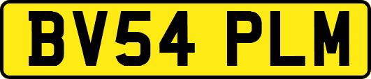 BV54PLM