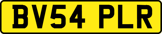 BV54PLR