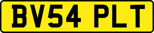 BV54PLT