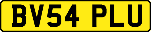 BV54PLU