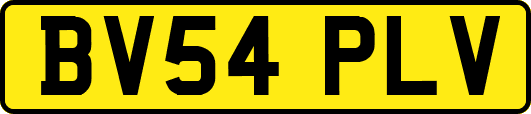 BV54PLV