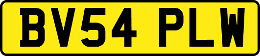 BV54PLW