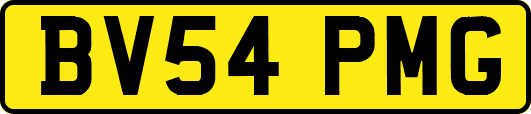 BV54PMG