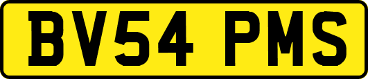 BV54PMS