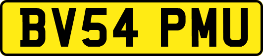 BV54PMU