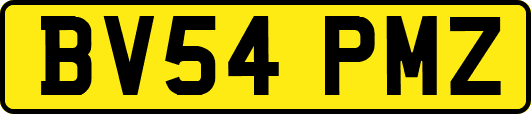 BV54PMZ