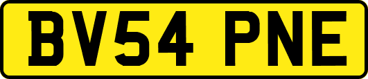 BV54PNE