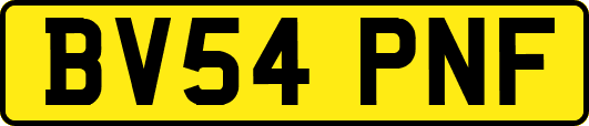 BV54PNF