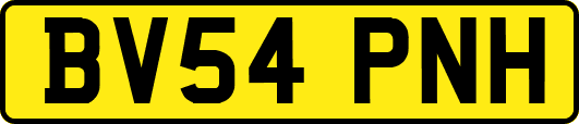 BV54PNH