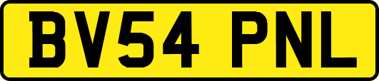 BV54PNL