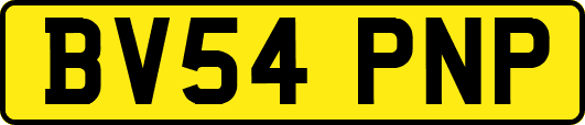 BV54PNP