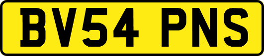 BV54PNS