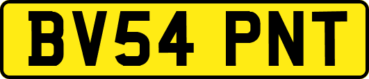 BV54PNT