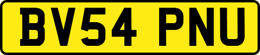 BV54PNU