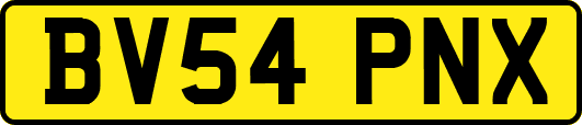 BV54PNX