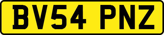 BV54PNZ