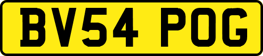 BV54POG
