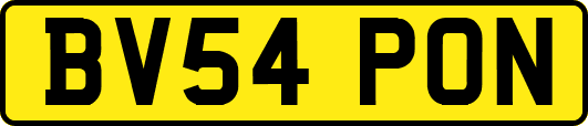 BV54PON