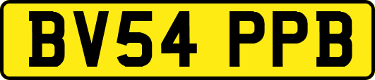 BV54PPB