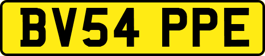 BV54PPE