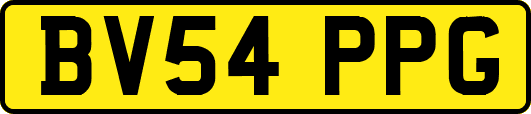 BV54PPG