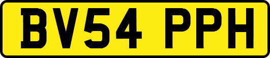 BV54PPH