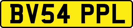 BV54PPL