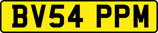 BV54PPM