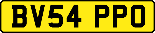 BV54PPO