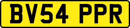 BV54PPR