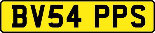 BV54PPS