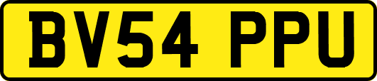 BV54PPU