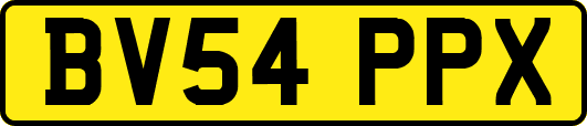 BV54PPX