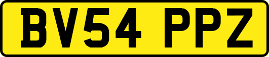 BV54PPZ