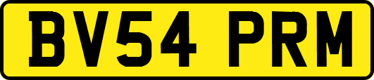 BV54PRM