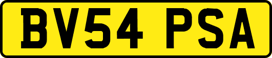 BV54PSA