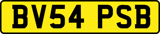 BV54PSB