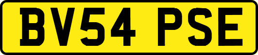 BV54PSE
