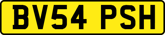 BV54PSH