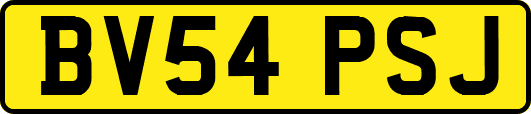 BV54PSJ