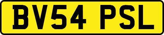 BV54PSL