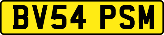 BV54PSM